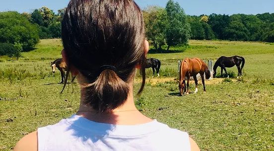 Personne observant des chevaux dans un pré
